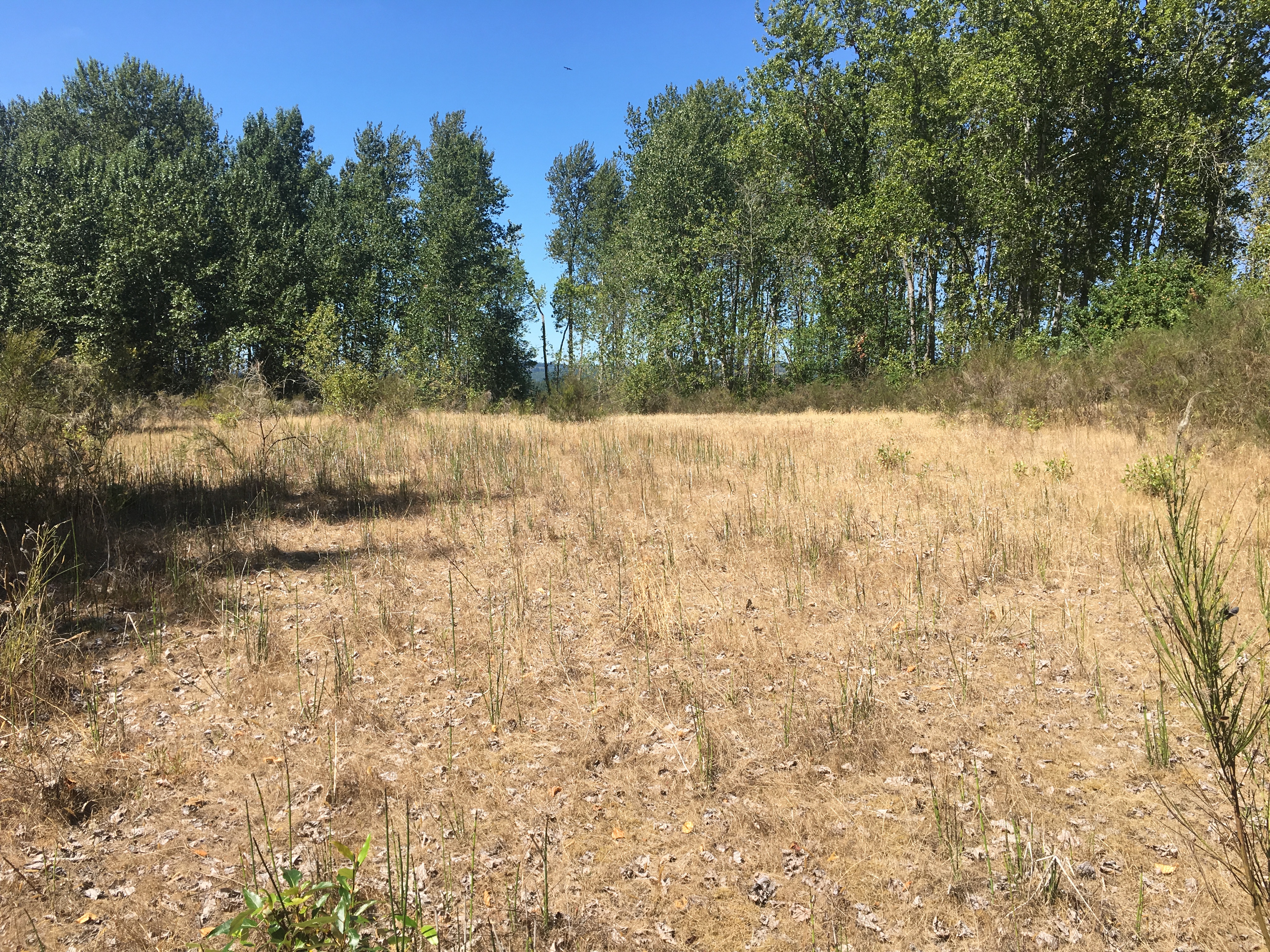 Walker Island West (OR) Estuary Partnership